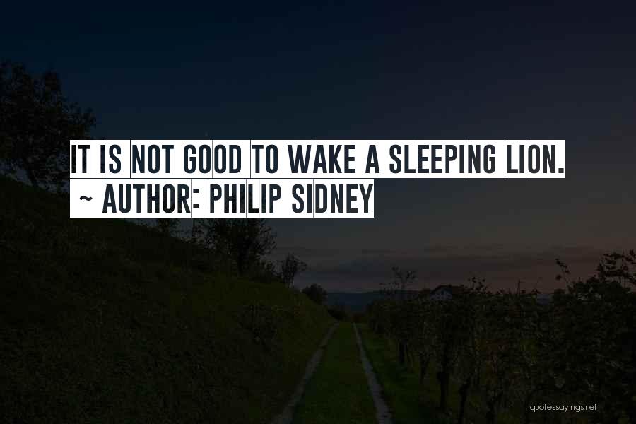 Philip Sidney Quotes: It Is Not Good To Wake A Sleeping Lion.