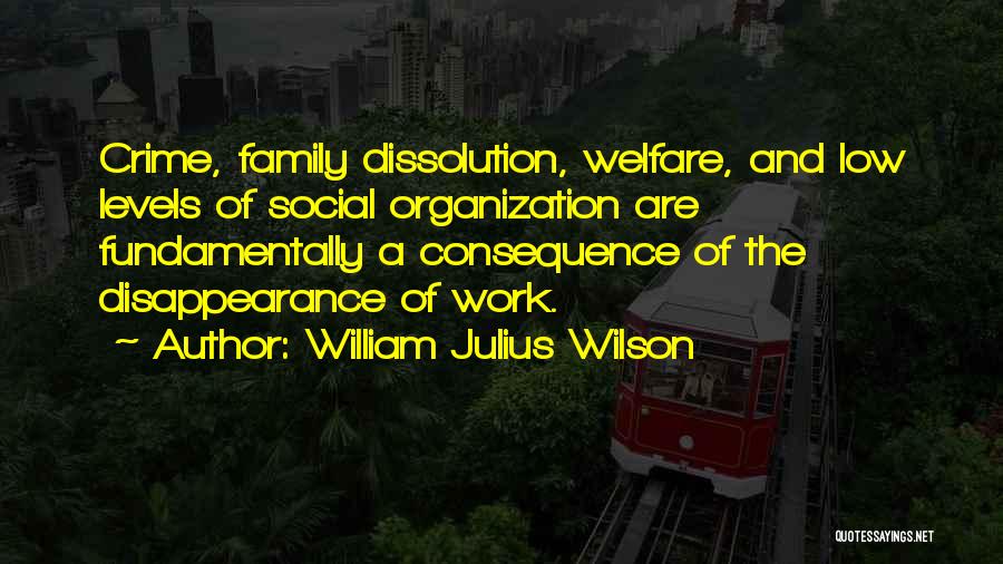 William Julius Wilson Quotes: Crime, Family Dissolution, Welfare, And Low Levels Of Social Organization Are Fundamentally A Consequence Of The Disappearance Of Work.