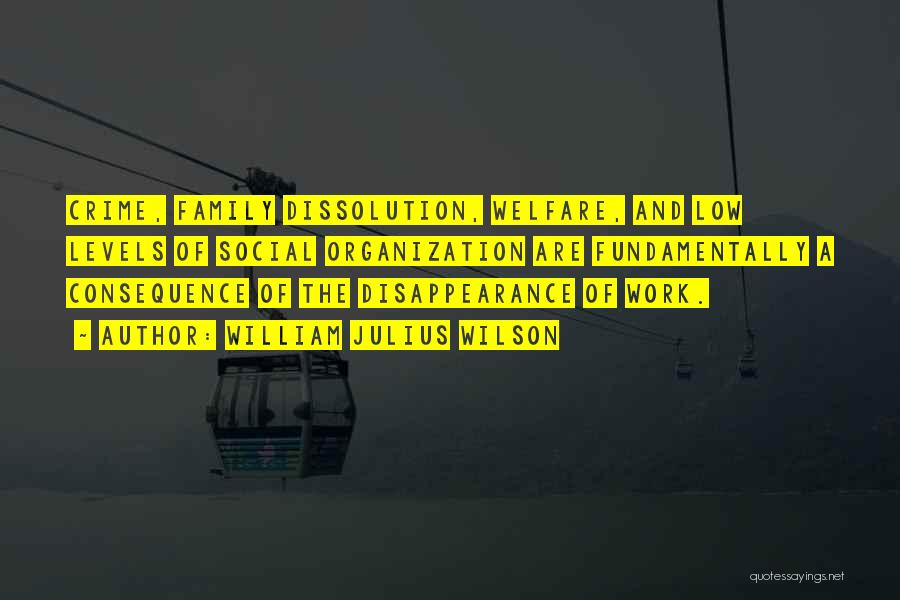 William Julius Wilson Quotes: Crime, Family Dissolution, Welfare, And Low Levels Of Social Organization Are Fundamentally A Consequence Of The Disappearance Of Work.