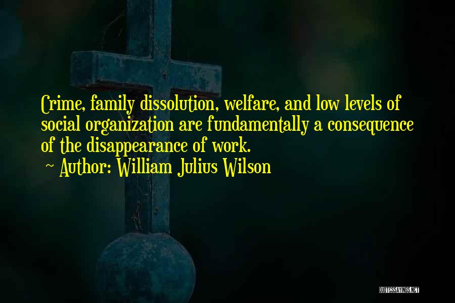 William Julius Wilson Quotes: Crime, Family Dissolution, Welfare, And Low Levels Of Social Organization Are Fundamentally A Consequence Of The Disappearance Of Work.