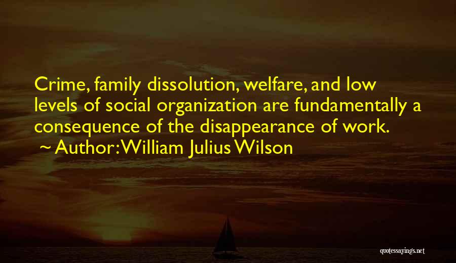 William Julius Wilson Quotes: Crime, Family Dissolution, Welfare, And Low Levels Of Social Organization Are Fundamentally A Consequence Of The Disappearance Of Work.