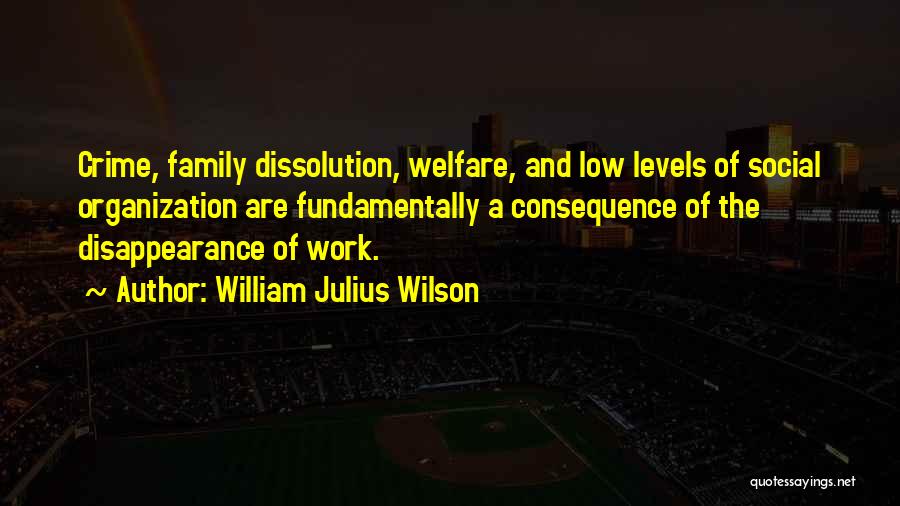 William Julius Wilson Quotes: Crime, Family Dissolution, Welfare, And Low Levels Of Social Organization Are Fundamentally A Consequence Of The Disappearance Of Work.