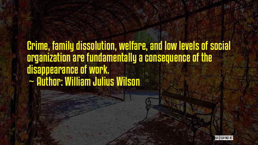 William Julius Wilson Quotes: Crime, Family Dissolution, Welfare, And Low Levels Of Social Organization Are Fundamentally A Consequence Of The Disappearance Of Work.