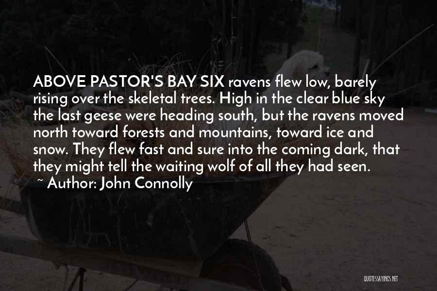 John Connolly Quotes: Above Pastor's Bay Six Ravens Flew Low, Barely Rising Over The Skeletal Trees. High In The Clear Blue Sky The