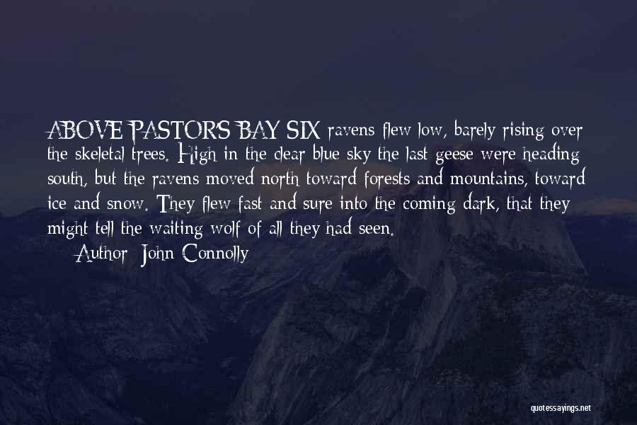 John Connolly Quotes: Above Pastor's Bay Six Ravens Flew Low, Barely Rising Over The Skeletal Trees. High In The Clear Blue Sky The