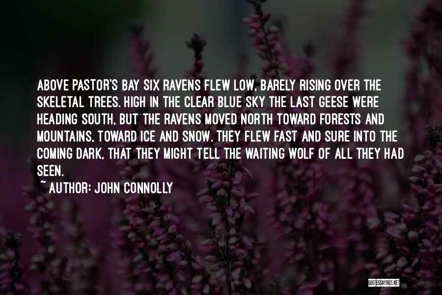 John Connolly Quotes: Above Pastor's Bay Six Ravens Flew Low, Barely Rising Over The Skeletal Trees. High In The Clear Blue Sky The