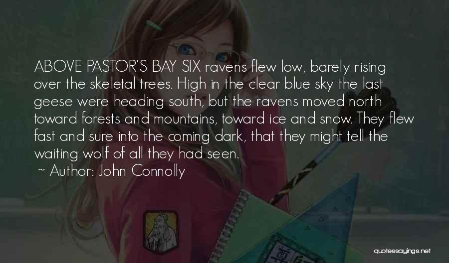 John Connolly Quotes: Above Pastor's Bay Six Ravens Flew Low, Barely Rising Over The Skeletal Trees. High In The Clear Blue Sky The