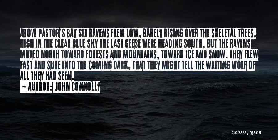 John Connolly Quotes: Above Pastor's Bay Six Ravens Flew Low, Barely Rising Over The Skeletal Trees. High In The Clear Blue Sky The