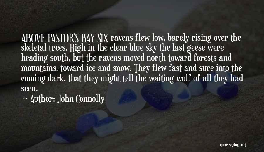 John Connolly Quotes: Above Pastor's Bay Six Ravens Flew Low, Barely Rising Over The Skeletal Trees. High In The Clear Blue Sky The