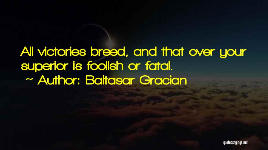 Baltasar Gracian Quotes: All Victories Breed, And That Over Your Superior Is Foolish Or Fatal.