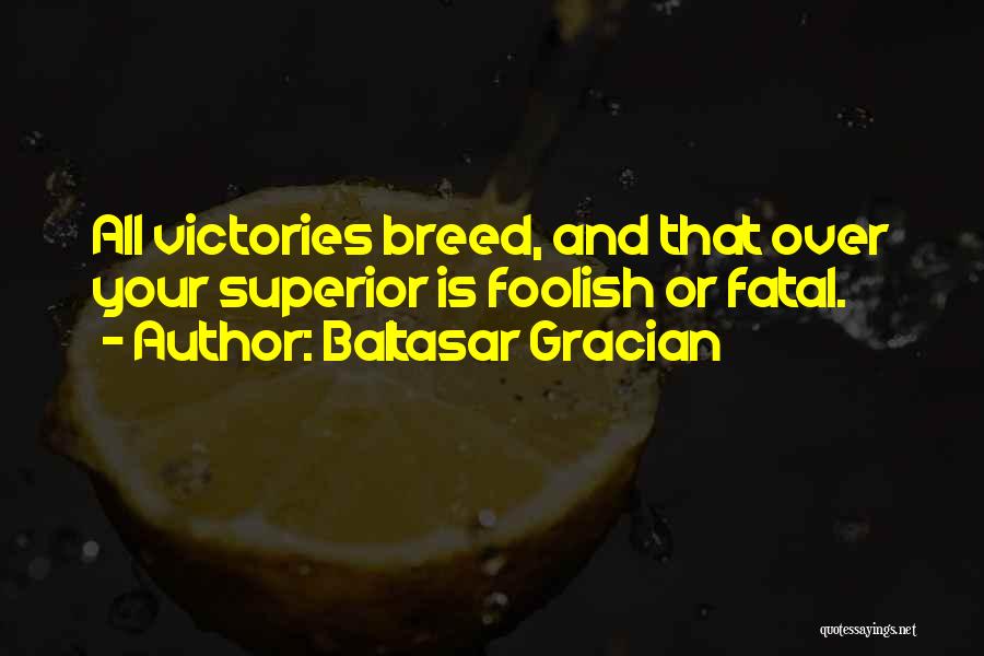 Baltasar Gracian Quotes: All Victories Breed, And That Over Your Superior Is Foolish Or Fatal.