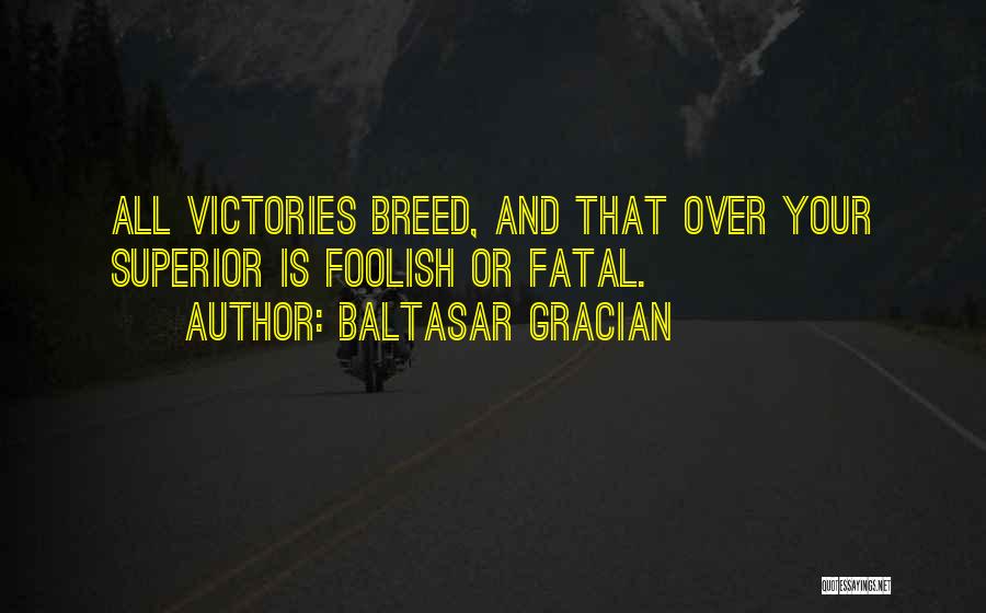 Baltasar Gracian Quotes: All Victories Breed, And That Over Your Superior Is Foolish Or Fatal.