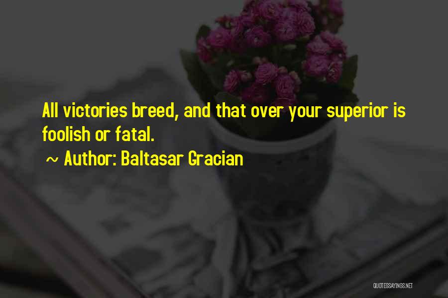 Baltasar Gracian Quotes: All Victories Breed, And That Over Your Superior Is Foolish Or Fatal.