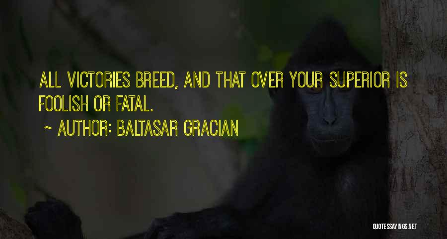 Baltasar Gracian Quotes: All Victories Breed, And That Over Your Superior Is Foolish Or Fatal.