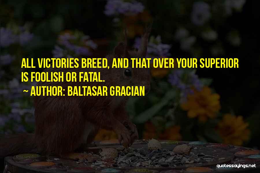 Baltasar Gracian Quotes: All Victories Breed, And That Over Your Superior Is Foolish Or Fatal.