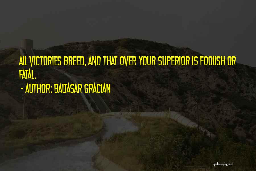 Baltasar Gracian Quotes: All Victories Breed, And That Over Your Superior Is Foolish Or Fatal.