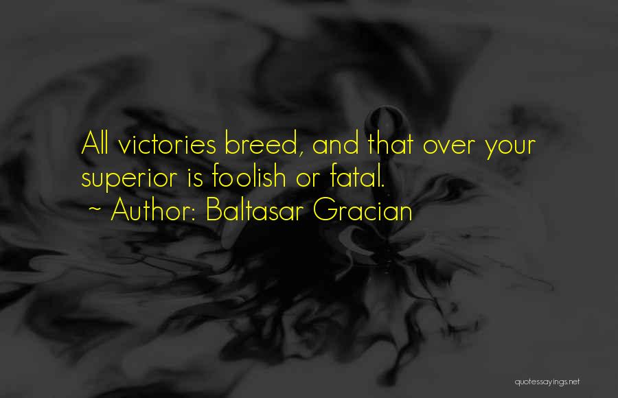 Baltasar Gracian Quotes: All Victories Breed, And That Over Your Superior Is Foolish Or Fatal.