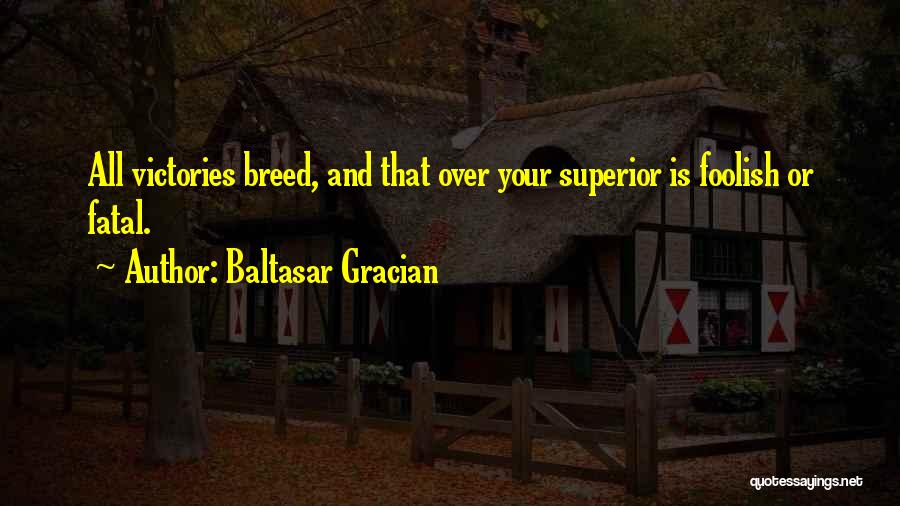 Baltasar Gracian Quotes: All Victories Breed, And That Over Your Superior Is Foolish Or Fatal.