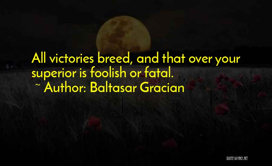 Baltasar Gracian Quotes: All Victories Breed, And That Over Your Superior Is Foolish Or Fatal.