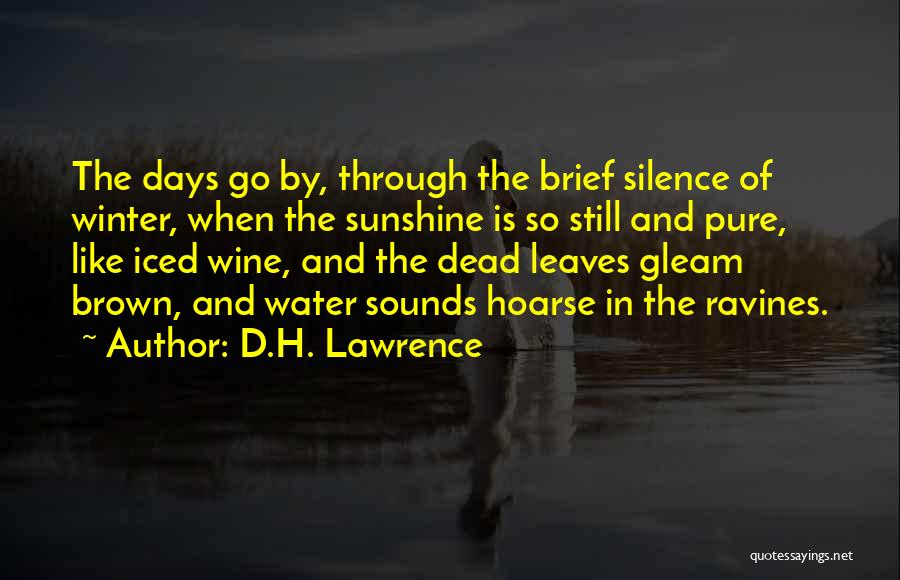 D.H. Lawrence Quotes: The Days Go By, Through The Brief Silence Of Winter, When The Sunshine Is So Still And Pure, Like Iced