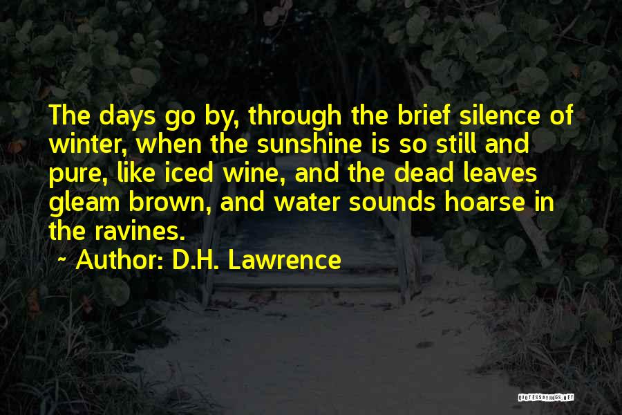 D.H. Lawrence Quotes: The Days Go By, Through The Brief Silence Of Winter, When The Sunshine Is So Still And Pure, Like Iced