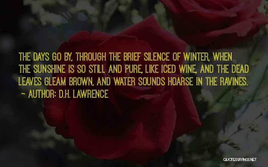 D.H. Lawrence Quotes: The Days Go By, Through The Brief Silence Of Winter, When The Sunshine Is So Still And Pure, Like Iced