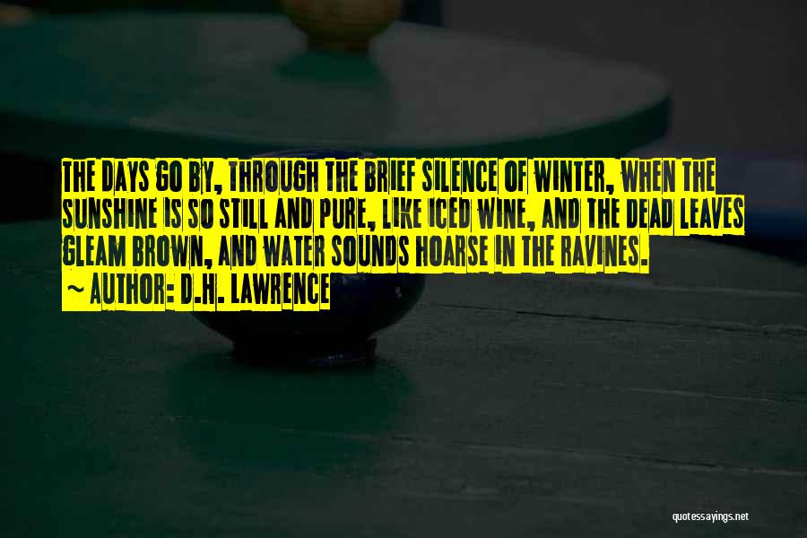 D.H. Lawrence Quotes: The Days Go By, Through The Brief Silence Of Winter, When The Sunshine Is So Still And Pure, Like Iced