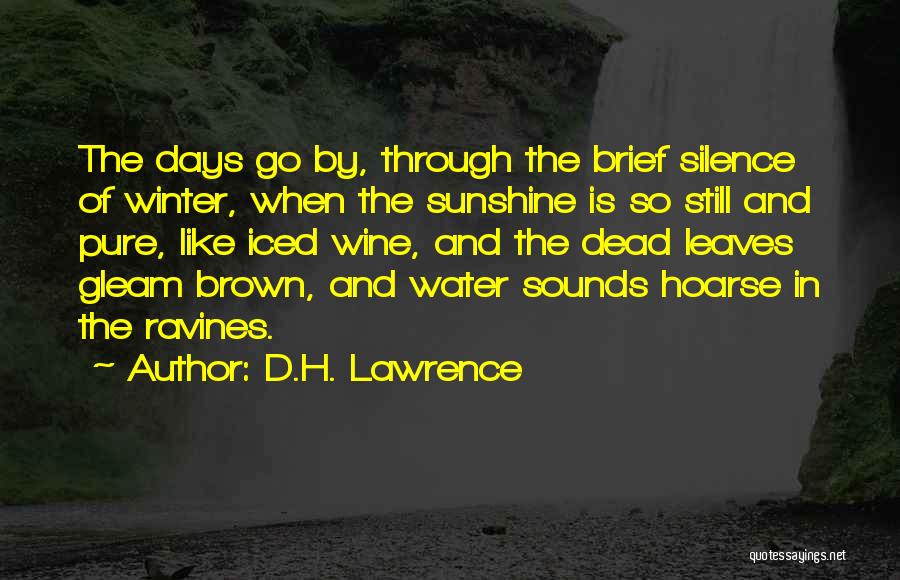 D.H. Lawrence Quotes: The Days Go By, Through The Brief Silence Of Winter, When The Sunshine Is So Still And Pure, Like Iced