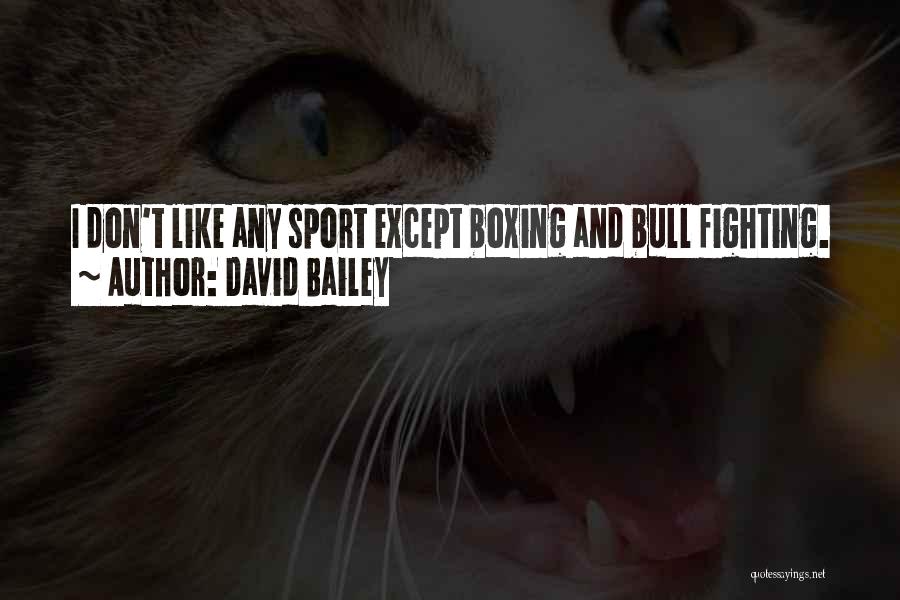 David Bailey Quotes: I Don't Like Any Sport Except Boxing And Bull Fighting.