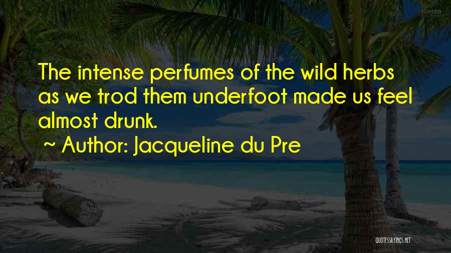 Jacqueline Du Pre Quotes: The Intense Perfumes Of The Wild Herbs As We Trod Them Underfoot Made Us Feel Almost Drunk.