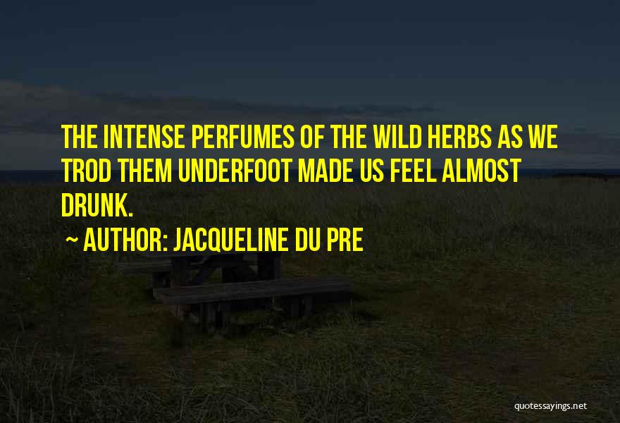 Jacqueline Du Pre Quotes: The Intense Perfumes Of The Wild Herbs As We Trod Them Underfoot Made Us Feel Almost Drunk.