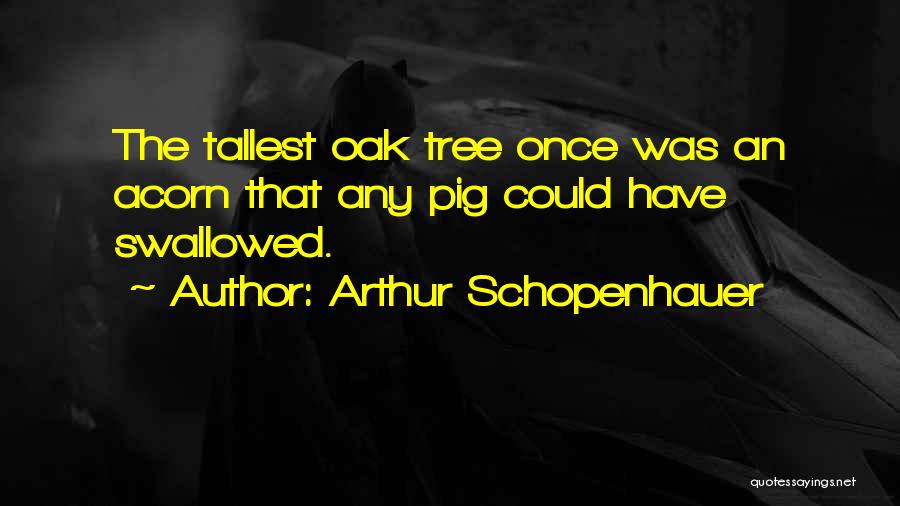 Arthur Schopenhauer Quotes: The Tallest Oak Tree Once Was An Acorn That Any Pig Could Have Swallowed.