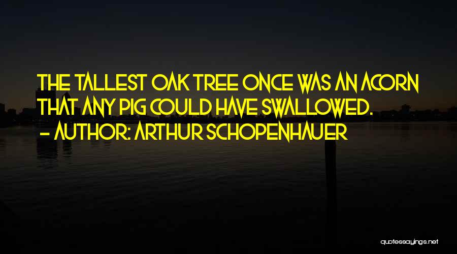 Arthur Schopenhauer Quotes: The Tallest Oak Tree Once Was An Acorn That Any Pig Could Have Swallowed.