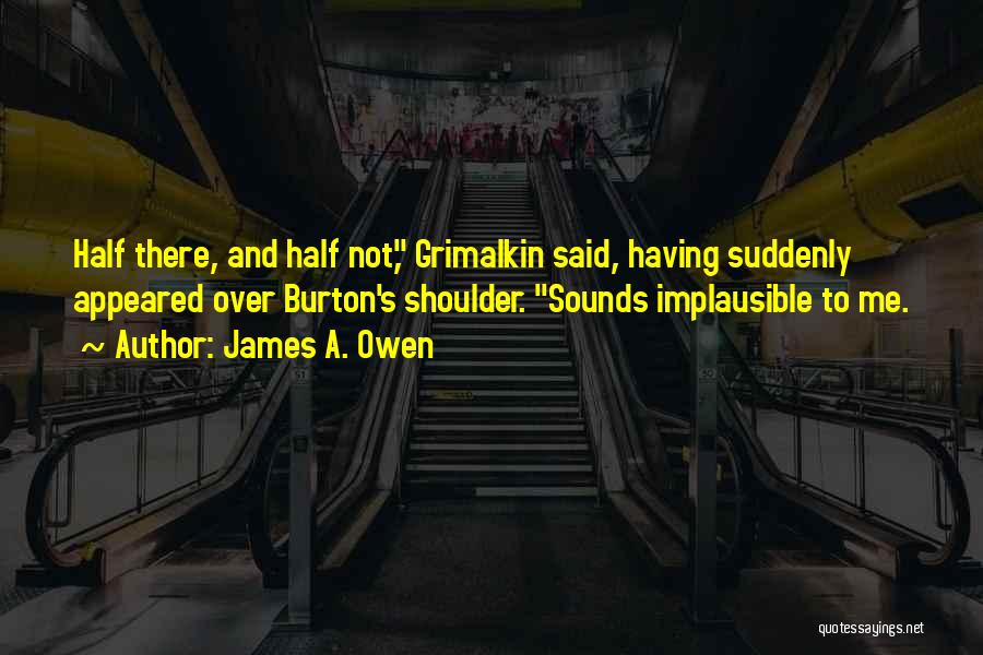 James A. Owen Quotes: Half There, And Half Not, Grimalkin Said, Having Suddenly Appeared Over Burton's Shoulder. Sounds Implausible To Me.