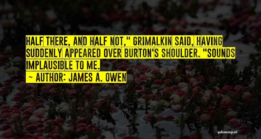 James A. Owen Quotes: Half There, And Half Not, Grimalkin Said, Having Suddenly Appeared Over Burton's Shoulder. Sounds Implausible To Me.