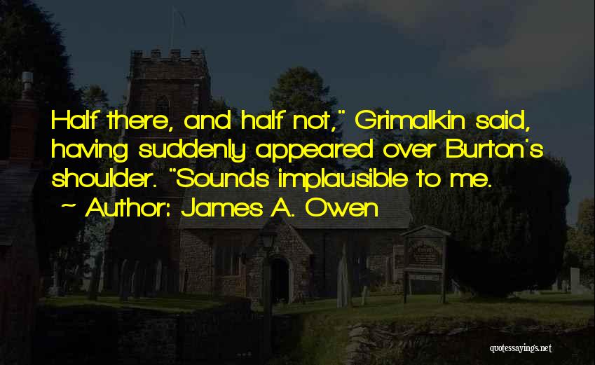 James A. Owen Quotes: Half There, And Half Not, Grimalkin Said, Having Suddenly Appeared Over Burton's Shoulder. Sounds Implausible To Me.