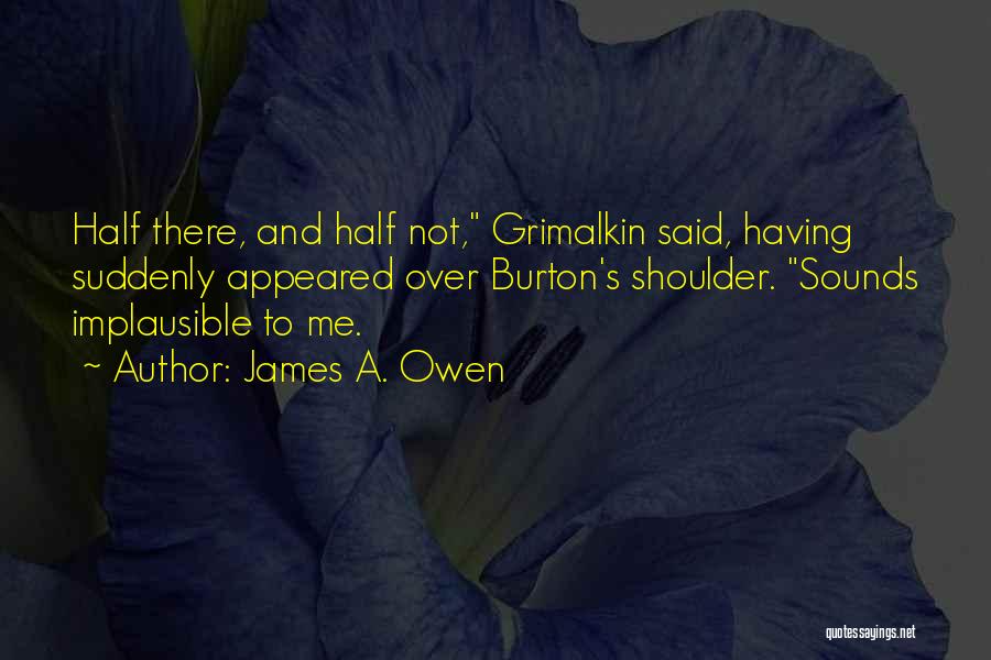 James A. Owen Quotes: Half There, And Half Not, Grimalkin Said, Having Suddenly Appeared Over Burton's Shoulder. Sounds Implausible To Me.