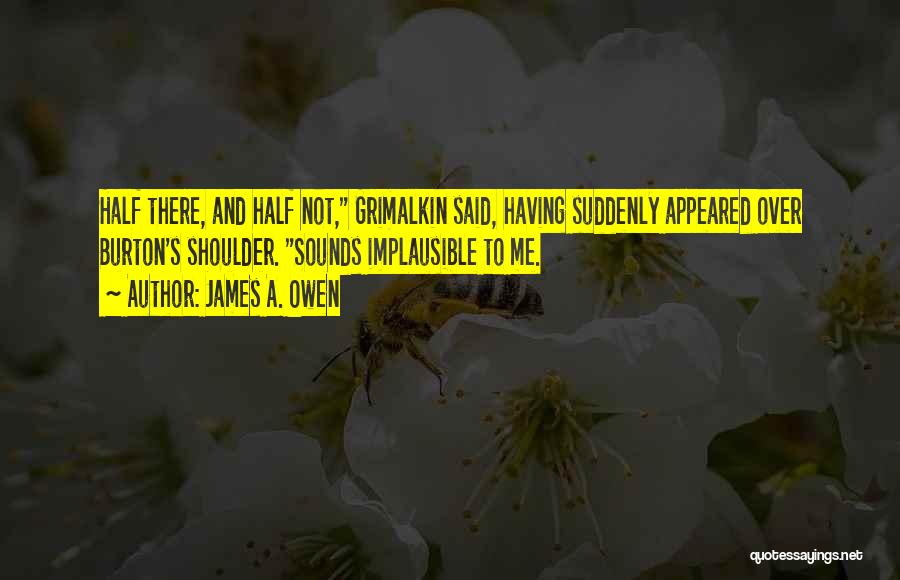 James A. Owen Quotes: Half There, And Half Not, Grimalkin Said, Having Suddenly Appeared Over Burton's Shoulder. Sounds Implausible To Me.