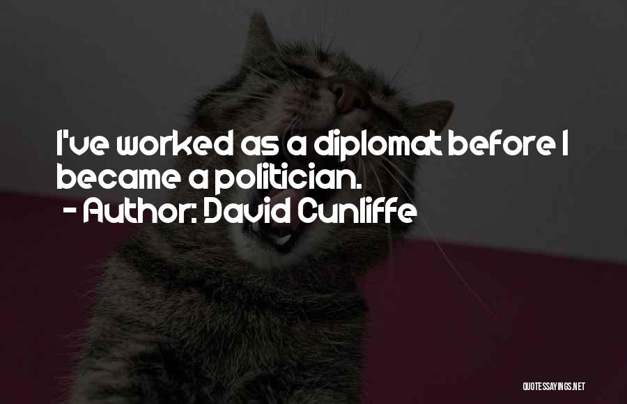 David Cunliffe Quotes: I've Worked As A Diplomat Before I Became A Politician.