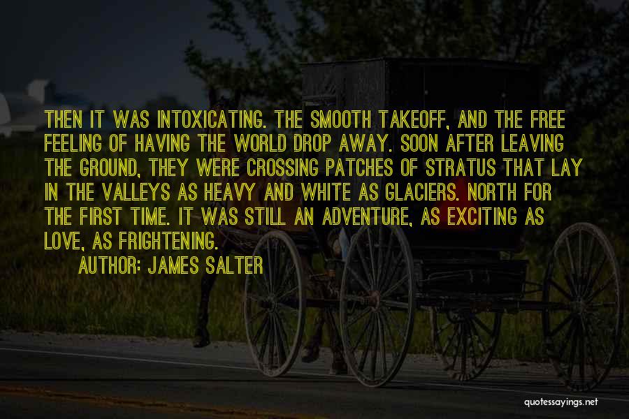 James Salter Quotes: Then It Was Intoxicating. The Smooth Takeoff, And The Free Feeling Of Having The World Drop Away. Soon After Leaving