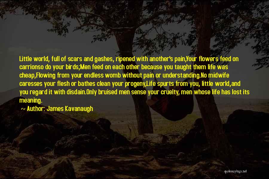 James Kavanaugh Quotes: Little World, Full Of Scars And Gashes, Ripened With Another's Pain,your Flowers Feed On Carrionso Do Your Birds;men Feed On