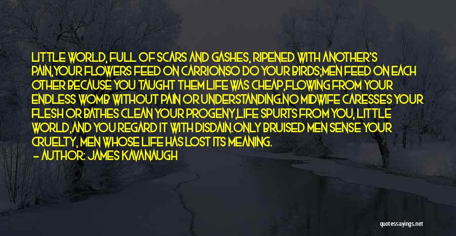 James Kavanaugh Quotes: Little World, Full Of Scars And Gashes, Ripened With Another's Pain,your Flowers Feed On Carrionso Do Your Birds;men Feed On