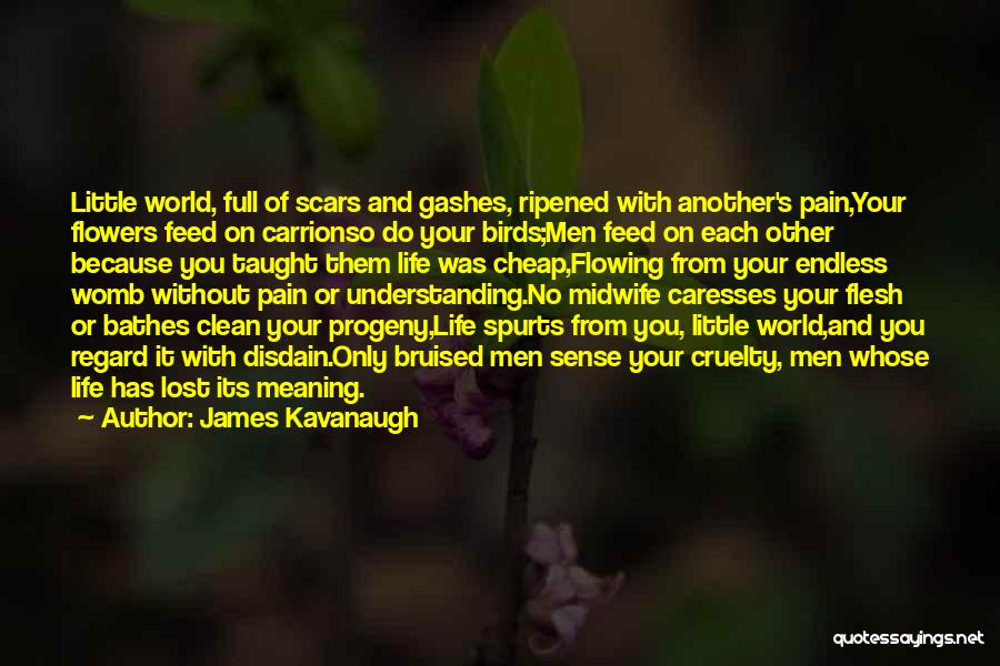 James Kavanaugh Quotes: Little World, Full Of Scars And Gashes, Ripened With Another's Pain,your Flowers Feed On Carrionso Do Your Birds;men Feed On