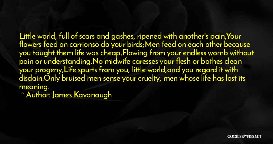 James Kavanaugh Quotes: Little World, Full Of Scars And Gashes, Ripened With Another's Pain,your Flowers Feed On Carrionso Do Your Birds;men Feed On