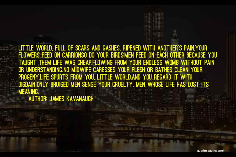 James Kavanaugh Quotes: Little World, Full Of Scars And Gashes, Ripened With Another's Pain,your Flowers Feed On Carrionso Do Your Birds;men Feed On