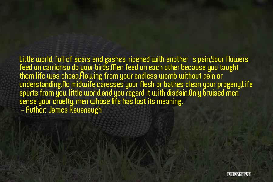 James Kavanaugh Quotes: Little World, Full Of Scars And Gashes, Ripened With Another's Pain,your Flowers Feed On Carrionso Do Your Birds;men Feed On