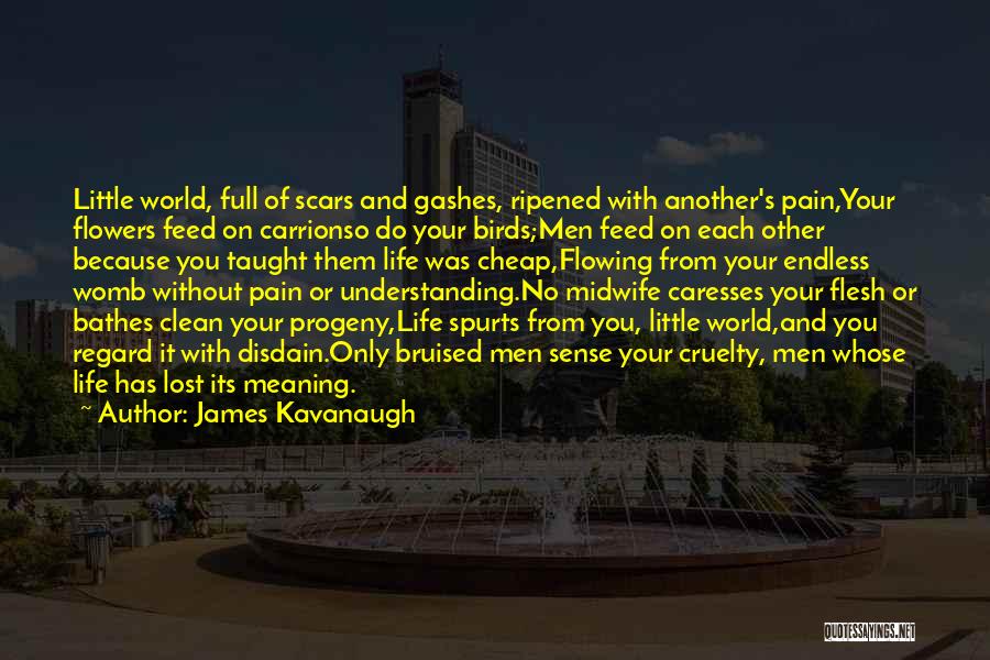 James Kavanaugh Quotes: Little World, Full Of Scars And Gashes, Ripened With Another's Pain,your Flowers Feed On Carrionso Do Your Birds;men Feed On