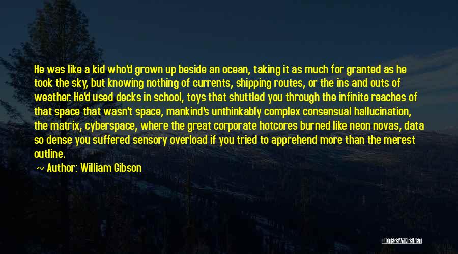 William Gibson Quotes: He Was Like A Kid Who'd Grown Up Beside An Ocean, Taking It As Much For Granted As He Took