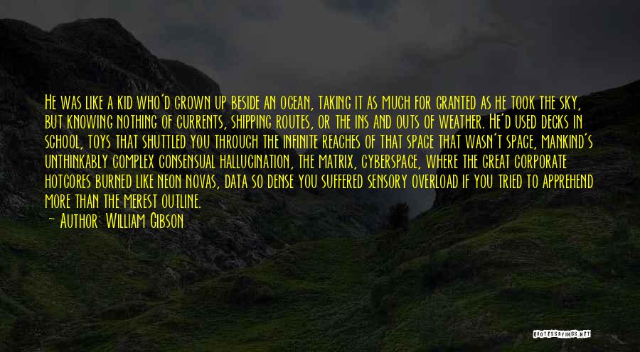 William Gibson Quotes: He Was Like A Kid Who'd Grown Up Beside An Ocean, Taking It As Much For Granted As He Took