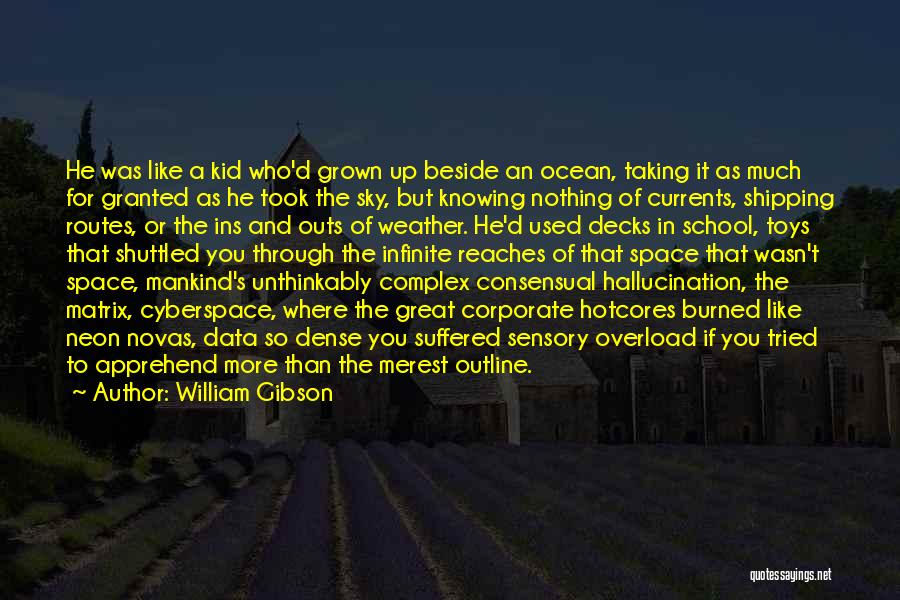 William Gibson Quotes: He Was Like A Kid Who'd Grown Up Beside An Ocean, Taking It As Much For Granted As He Took